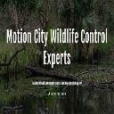 Motion City Wildlife Control Experts logo